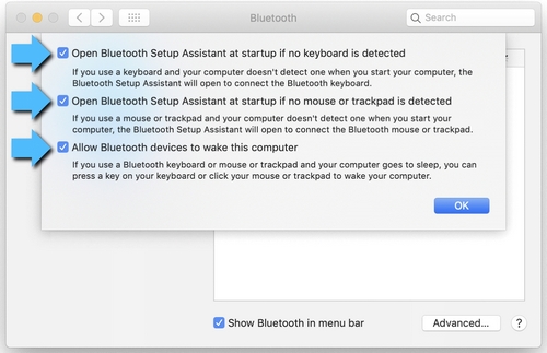 Allow Bluetooth to Wake Device