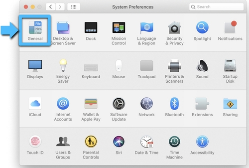 General Preferences