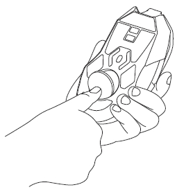 Open Weight Compartment