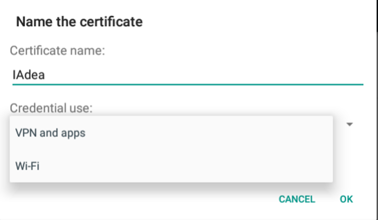 4_Installing_Security_Certificates.png